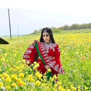 Salwar Kameez traditionnel afghan personnalisé du fabricant pour femmes soie éthérée et coton 620 pièces à vendre - Product Image 1