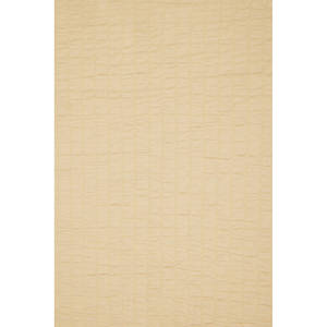 Silk Stole 45X190 Ecru - Product Image 2