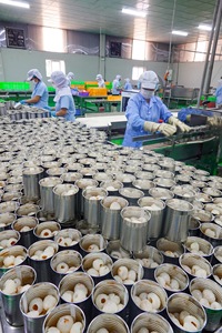 VENTE EN GROS LYCHEE EN CONSERVE BOIRE BON TATSE DE BLEU LOTUS VIETNAM MEILLEURE VENTE 2024 - Product Image 3