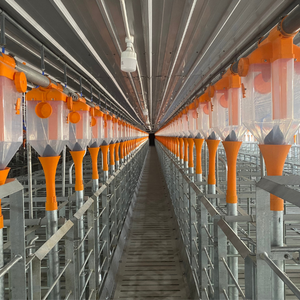 L'équipement le plus vendu pour les caisses de gestation pour porcs est fabriqué en acier inoxydable 304 durable, durable et résistant à la chaleur Mavinex - Product Image 4