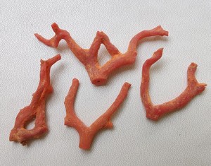 ปะการังแดงดิบ 100% ธรรมชาติ ปะการังอิตาลี หินมีค่า รูปทรงกิ่งไม้ ไม่ขัดเงา คุณภาพ AA++ ปะการังแท่ง หินมีค่า ปะการังแดงแท่ง - Product Image 5