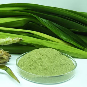 Poudre de feuilles de Pandan saveur verte naturelle de haute qualité prix bon marché approvisionnement en vrac en provenance du Vietnam - Product Image 1