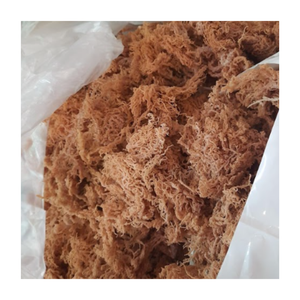 Mousse de mer séchée, non piquante et non salée et mousse de mer irlandaise dorée séchée, mousse de mer séchée et dorée pour l'exportation - Product Image 3