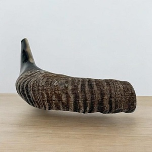 Shofar Kosher Hecho en Israel, Cuerno de Carnero Natural Tallado Estilo Animal, Ecológico para Tocar y Fines Religiosos - Product Image 1