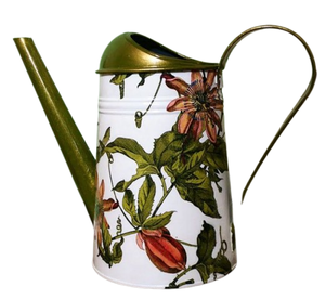 Bidon d'eau en métal fini peint à la main avec long bec et design élégant Bidon d'eau classique avec poignée en métal en gros - Product Image 2