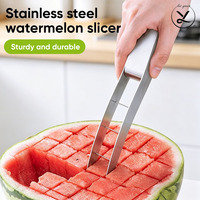 Handmatige watermeloensnijder van 304 roestvrij staal met eenvoudig te reinigen functie voor fruit & groente keukengerei