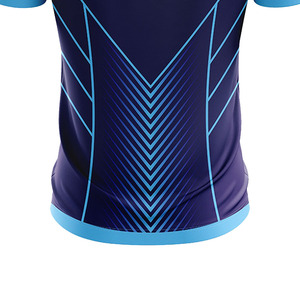 Maillots de cricket personnalisés pour hommes de haute qualité, bleus, à panneaux, 100% polyester, sublimés, en vente, ensembles d'uniformes de cricket pour hommes - Product Image 5