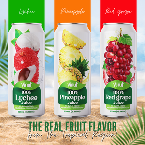 Best Seller 100% Bebida de jugo de piña 500ml Sin OGM Sin azúcar añadido Sin lactosa OEM ODM Personalizable Bajo MOQ Muestra gratis - Product Image 5