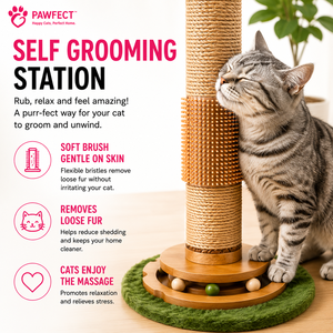 Poste rascador para gatos Pawfect de 40 pulgadas con alfombra verde, bolas colgantes de pompón y base estable para trepar, para todas las razas, 1 nivel. - Product Image 3