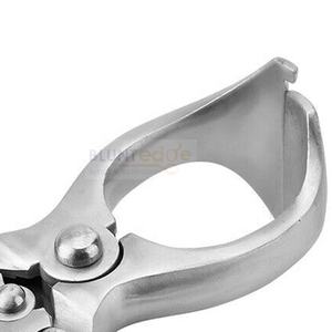 Castrador sin sangre Emasculator sin sangre Venta caliente Alicates de castración de buena calidad Fórceps de castración - Product Image 2