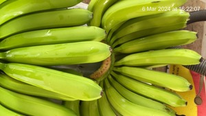 Best Quality Smoothies From Blue Lotus Green Cavendish Bananas Fresh Banana Fruit Desserts Vietnamese Fruit Cavendish - Product Image 5