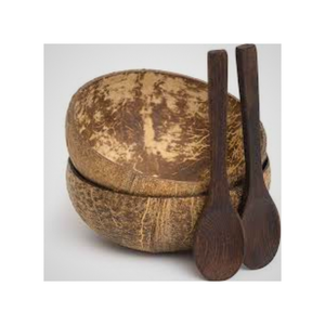 Cuencos de cáscara de coco desechables respetuosos con el medio ambiente al por mayor diseños tallados personalizados para ensaladas de frutas fabricante de Vietnam - Product Image 1