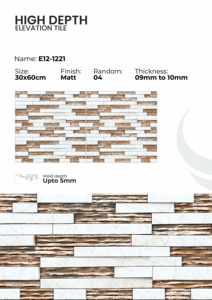 Carreaux de revêtement mural en porcelaine pour extérieur 300x600mm - Product Image 4