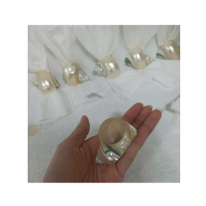 Concha de concha blanca natural y concha verde de Vietnam por 99 Gold Data para decoración y exhibición costera - Product Image 5