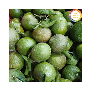 Naranja Fresca con Piel Verde Seleccionada de Vietnam, Ideal para Venta al por Menor, Uso Culinario y Producción de Jugos - Product Image 3