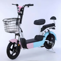 Vélo électrique E-Bike longue portée, haute vitesse, moteur sans balais, écran, cadre en acier, batterie au plomb-acide et au lithium