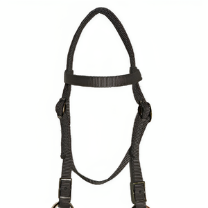 Équipement d'équitation de couleur personnalisée de nouvelle conception, bride de taille de cheval en nylon bleu - Product Image 6