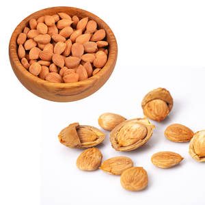 Nettoyez les noyaux amers d'abricot de finition pour la fabrication d'huile essentielle dans des produits d'agriculture - Product Image 2