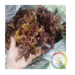 Eucheuma cottonii สาหร่ายทะเลจากเวียดนามแห้งสาหร่ายดิบธรรมชาติสำหรับคาราจีแนนและอุตสาหกรรมอาหาร - Product Image 5