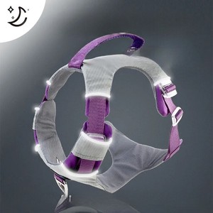Arnés de Nailon Morado para Perro con Cierre de Hebilla Ajustable y Juego de Correa a Juego para Perros Medianos - Product Image 2