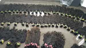 EXTENSION DE CHEVEUX EN VRAC DE QUALITÉ SUPÉRIEURE PRIX DE GROS DIRECT REMY NON TRAITÉ NATUREL BOUCLES DE CHEVEUX REMY SANS COUTURE - Product Image 3