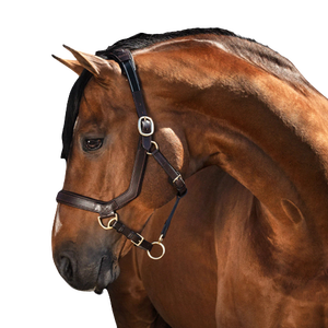 Meilleur Cuir Anatomique Racing & Training Halters for Horse Fabrication indienne Prix bas Acheter maintenant! - Product Image 2