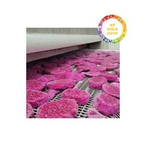 Fruit du dragon congelé du Vietnam à chair rouge et blanche exporté en gros directement de l'usine à un prix attractif - Product Image 2