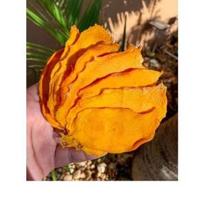 Precio al por mayor de fábrica 100% Snack de frutas naturales Mango suave orgánico de alta calidad Precio más bajo por menos fruta seca azucarada - Product Image 6