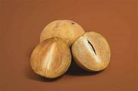 Buah SAPODILLA matang seluruhnya beku tanaman manis alami dukungan kekebalan LABEL bersih