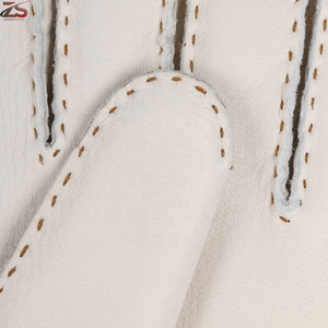 High Quality Women's Leather Gloves Cashmere Lining Wholesale Anti-Impact Gloves Daily Casual Use Wrist Length Sialkot Pakistan - Product Image 5