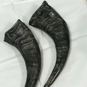 Corne de buffle crue de qualité supérieure pour l'artisanat, les boutons et la fabrication d'ustensiles - Product Image 4