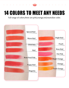 Pigment Organique Liquide YDPMU pour Tatouage Lèvres et Sourcils Haute Saturation Coloration Rapide Maquillage Semi-Permanent - Product Image 3