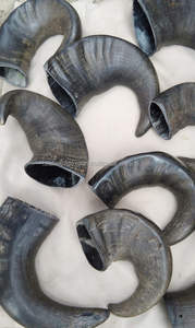 Cuerno de búfalo natural para masticar perros, Limpieza de dientes de mascotas saludables, golosinas sin olor y duraderas de Falak World Export - Product Image 5