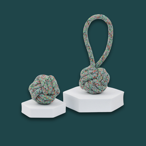 Jouets classiques en coton pour chiens, écologiques et durables, en forme de bâton, pour le jeu des animaux, le nettoyage des dents, cadeau, carton - Product Image 2