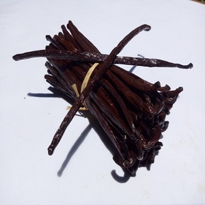 Vainilla de Madagascar a la venta | Gourmet Madagascar Bourbon Vanilla Beans - Product Image 2