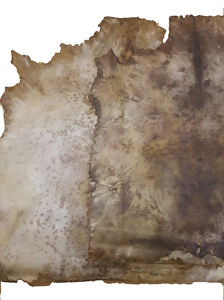 Djembes กลองหมอผีกลองแอฟริกัน - Product Image 4