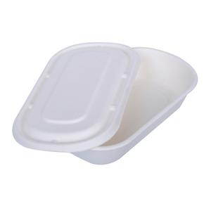 Coperchio per Contenitore Alimentare Monouso in Materiale Bagasse per Lunch Box - Product Image 1