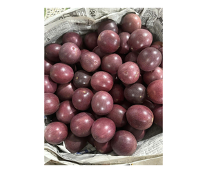Proveedor de Maracuyá Fresca de Alta Calidad de Vietnam - Fruta Entera para Mercado Fresco y Producción de Bebidas - Product Image 1