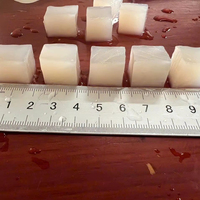 Cubes de nata de coco tropicaux de qualité supérieure du Mekong River dans du sirop, emballage personnalisable