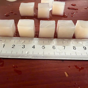 Nata de Coco Tropical Premium del Río Mekong - Product Image 3