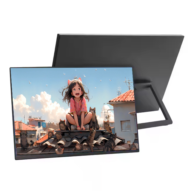 13.3 14 15.6 Inch Matte Screen IPS 1k 2.5k 60HZ 165HZ Light Slim PC Laptop ps4 Gaming LCD Monitor Portable Monitor