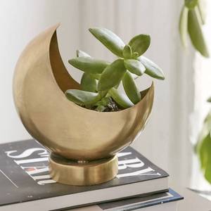 Maceta de flores con acabado dorado de decoración en forma de luna de Metal de último diseño de alta calidad a precio al por mayor - Product Image 3