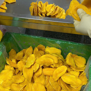 ขนมมะม่วงอบแห้งแบบนิ่มเวียดนามราคาถูกขนมเพื่อสุขภาพสำหรับผู้ค้าปลีกและบริษัทผลิตอาหารระดับโลก - Product Image 1