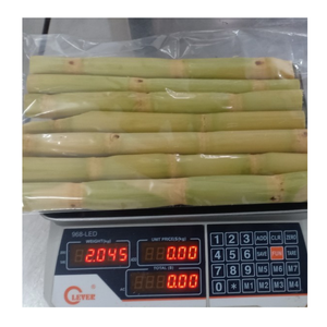 Canne à sucre congelée pelée pour les entreprises de boissons et les usines alimentaires Bâtonnets de canne à sucre congelés du Vietnam - Product Image 2