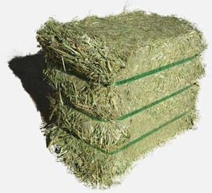 Heno de alfalfa de alto contenido proteico/heno de alfalfa en fardos Timothy Hay para caballos, ganado, cerdo, pescado disponible para la venta y exportación - Product Image 4