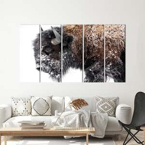 Impression sur toile élégante sur le thème du bison hivernal : Œuvre d'art sur la faune américaine, LOT DE 5 TOILES - Product Image 1