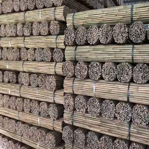 Cañas de bambú para jardín al por mayor | Longitud y tratamiento personalizados | Fabricante de soporte de plantas de Vietnam - Product Image 3