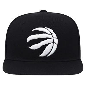 Venta caliente personalizado Transferencia de Calor impreso 6 paneles de ala plana deportivo común Snapback Hat - Product Image 1
