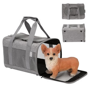 Sac de transport pour chat respirant personnalisé, grand espace portable, sac de voyage pour chaton, porte-animal de compagnie souple pour chiot, chat - Product Image 1
