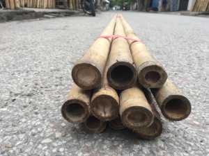 Proveedor de Vietnam que Procesa Postes de Bambú Natural para Agricultura, Construcción y Mercados de Exportación - Product Image 6